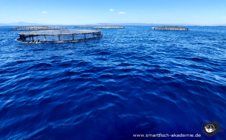 Die Matrix des Wassers ist global die absolute Lebensgrundlage des blauen Planeten.