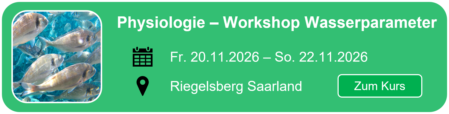 Hier geht es zum Smartfisch Akademie Parameterkurs Aquaponik im Saarland