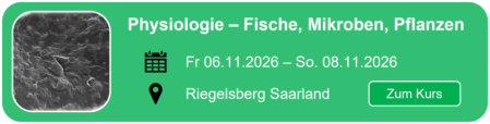 Hier geht es zum Smartfisch Akademie Physiologiekurs Aquaponik im Saarland