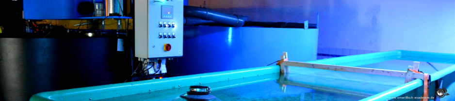 Modernes Aquafarming benötigt Ausbildung in Kreislaufanlagen Technik
