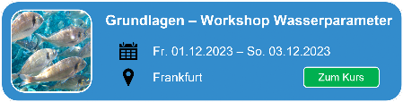 Hier geht es zum Smartfisch Akademie Wasserparameter der Aquaponik nach Frankfurt (Main)