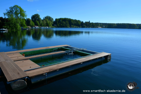 Split-Pond Anlagenbau Low-Tech System zur Hatchery Hatchery Split-Pond Systeme optimieren Teichbewirtschaftung